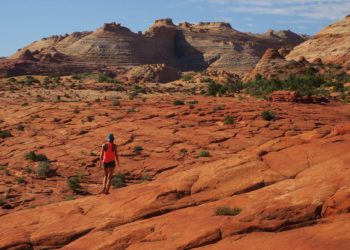 ‘Thor: Love and Thunder’ Post-Credits Scenes, Loki in Valhalla Possibility