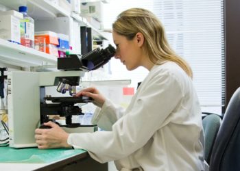 In Netherlands, 4 contemporary museums go beyond the Old Master