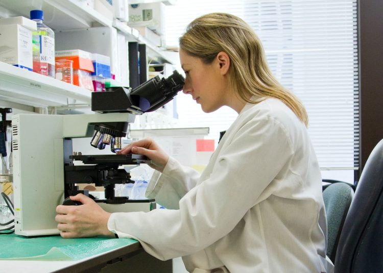 In Netherlands, 4 contemporary museums go beyond the Old Master